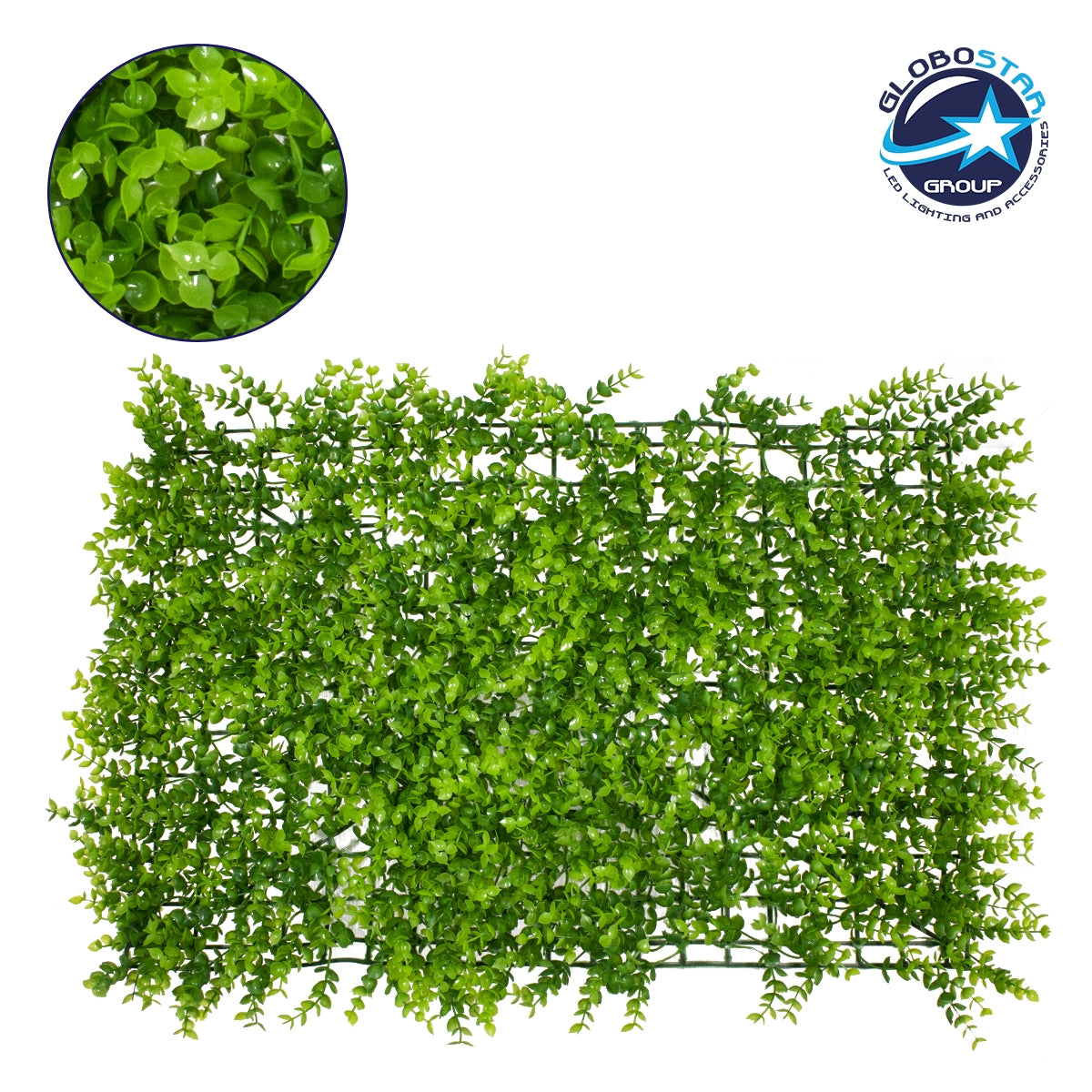 GloboStar® 78416 Artificial - Συνθετικό Τεχνητό Διακοσμητικό Πάνελ Φυλλωσιάς - Κάθετος Κήπος Καυκάσιο Πυξάρι Πράσινο Μ60 x Υ40 x Π4cm - ledmania.gr