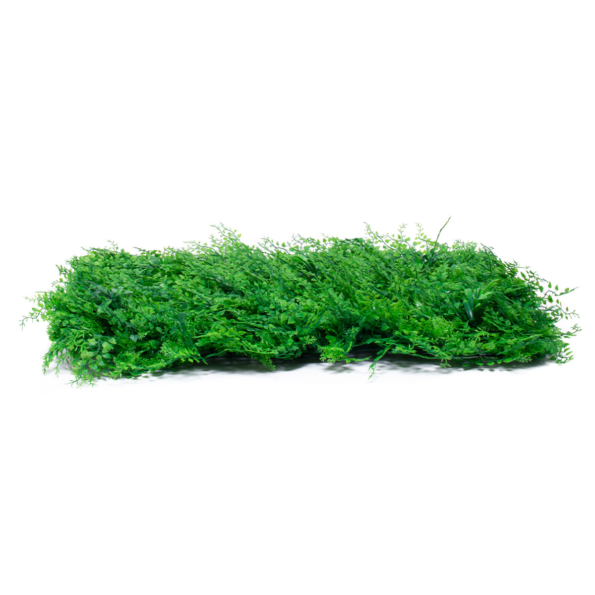 GloboStar® 78435 Artificial - Συνθετικό Τεχνητό Διακοσμητικό Πάνελ Φυλλωσιάς - Κάθετος Κήπος Φύλλα Αγγελικής - Πράσινο Μ60 x Υ50 x Π8cm - ledmania.gr