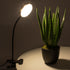 GloboStar® 79649 Grow Light Hydro Spectrum LED Φωτιστικό Ανάπτυξης Υδροπονικών Φυτών Γλάστρας με 1 Κινούμενη Κεφαλή & Βάση Clip SMD 2835 5W 160° DC 5V IP20 με Dimmer & Timer Εσωτερικού Χώρου για Κάλυψη Επιφάνειας 0.6m x 0.6m Πλήρους Φάσματος Φωτισμού - ledmania.gr