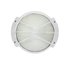 ΧΕΛΩΝΑ ΛΕΥΚΗ ΙΡ54 Ε27 100W - ledmania.gr