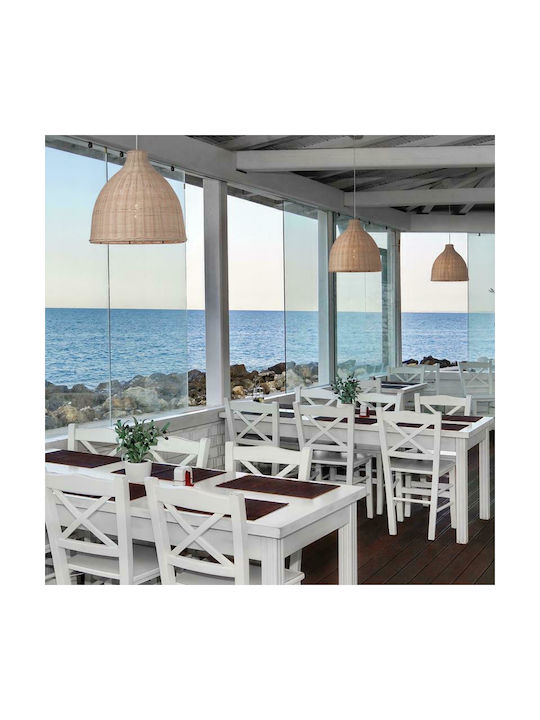 ΚΡΕΜΑΣΤΟ Φ/Σ 1ΧΕ27 ΚΑΛΑΜΙ Φ45ΧH119CM - ledmania.gr