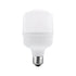 LED SMD E27 P80 15W 3000K 1620LM 230V AC RA80 40000H 220° IP65