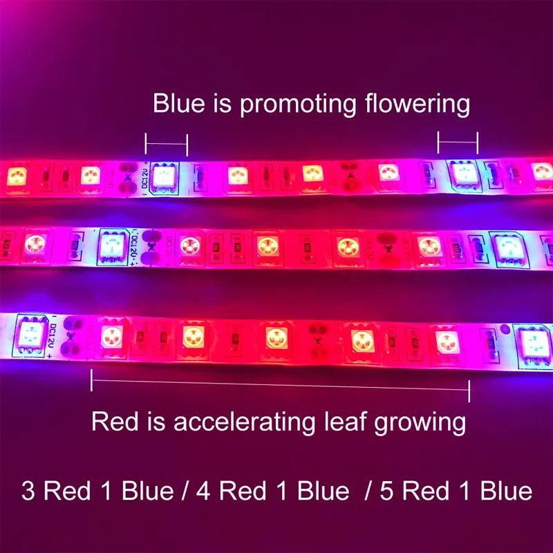 Ταινία Led Ανάπτυξης Φυτών-12v-Full Specrum 3Led Κόκκινα 1 Μπλε-60Led το μετρο-