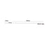 LED LINEAR LUMINAIRE 19W 1700LM 4000K 120° 230V AC IP40 Ra>80 30.000HRS 600mm - ledmania.gr