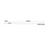 LED LINEAR LUMINAIRE 43W 4000LM 3000K 120° 230V AC IP40 Ra>80 30.000HRS 1500mm - ledmania.gr