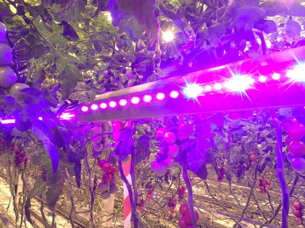 PCB αργιλίου-Αλουμινίου 500mm με θέσεις για 10 Led υψηλής δύναμης-ελαφριά ψύκτρα για υδροπονία-ενυδρείου-τεμ1 - ledmania.gr