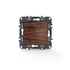PRIME ΔΙΑΚΟΠΤΗΣ ΑΛΕΡΕΤΟΥΡ & LED ΛΥΧΝΙΑ ΠΡΟΣΑΝΑΤΟΛΙΣΜΟΥ (ΟΝ-ΟFF) ΜΕ ΚΛΙΠ 1P 10AX 250VAC IP20 ΞΥΛΟ - ledmania.gr