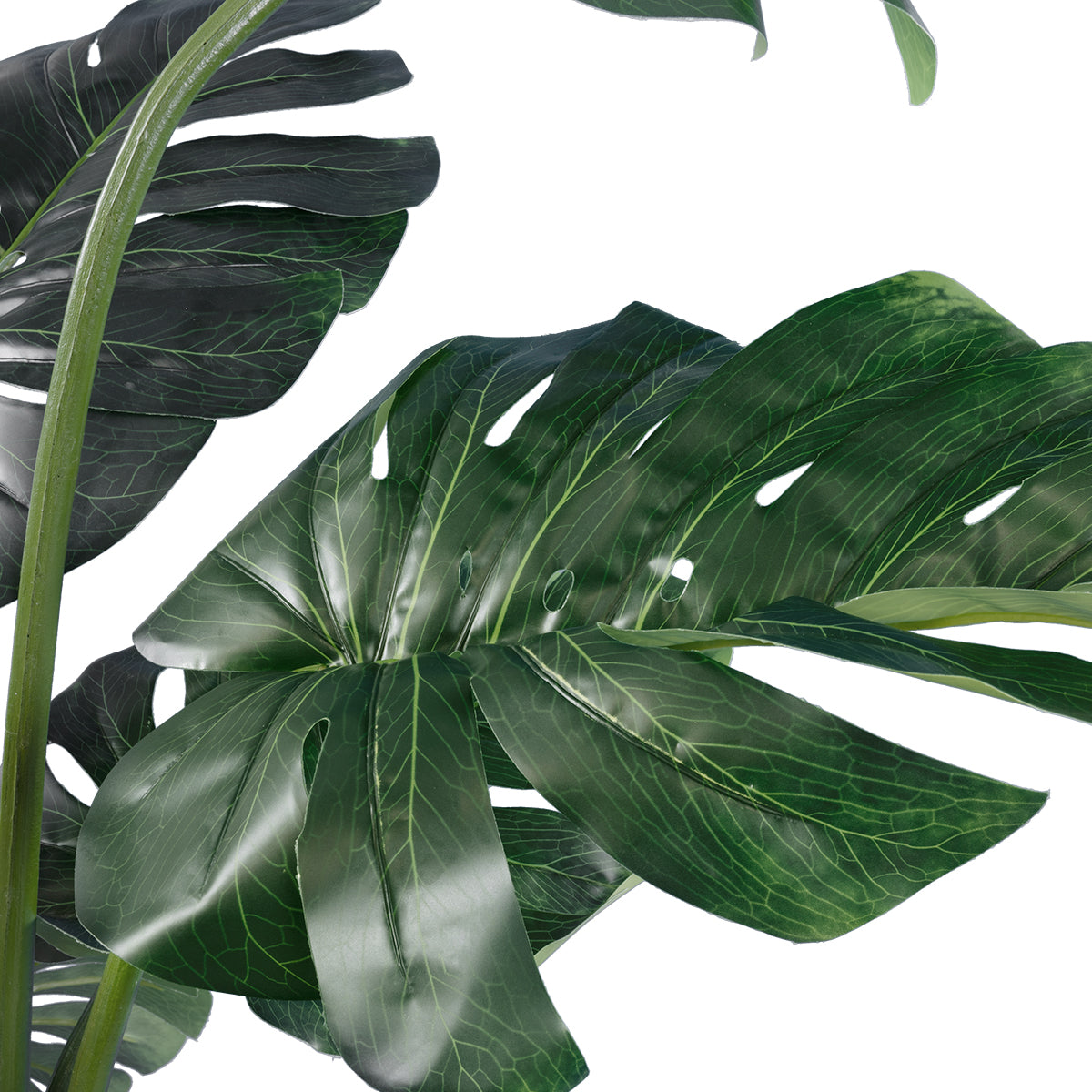 GloboStar® Artificial Garden MONSTERA 20003 Τεχνητό Διακοσμητικό Φυτό Μονστέρα Υ150cm - ledmania.gr