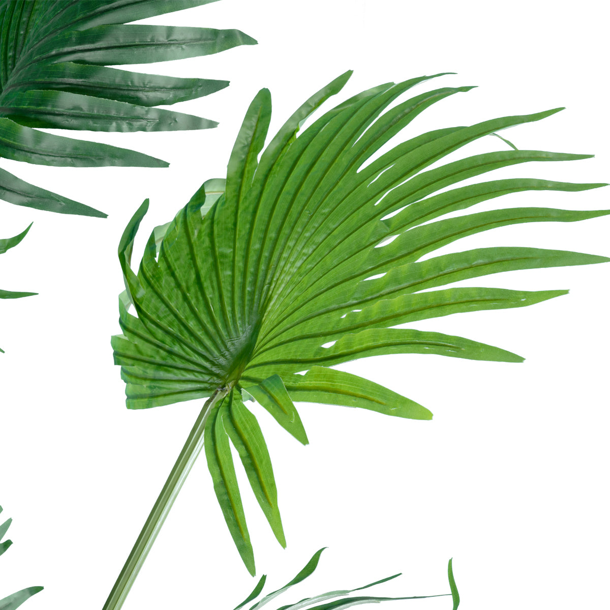 GloboStar® Artificial Garden PALM TREE 20014 Τεχνητό Διακοσμητικό Φυτό Φοινικόδεντρο Βεντάλια Υ210cm - ledmania.gr