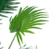 GloboStar® Artificial Garden PALM TREE 20014 Τεχνητό Διακοσμητικό Φυτό Φοινικόδεντρο Βεντάλια Υ210cm - ledmania.gr