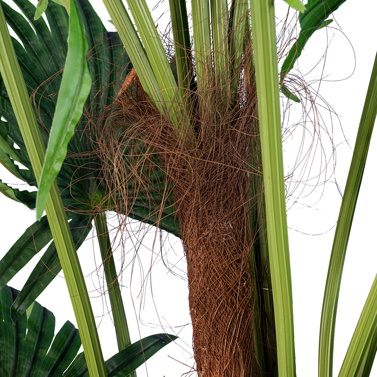 GloboStar® Artificial Garden PALM TREE 20014 Τεχνητό Διακοσμητικό Φυτό Φοινικόδεντρο Βεντάλια Υ210cm - ledmania.gr