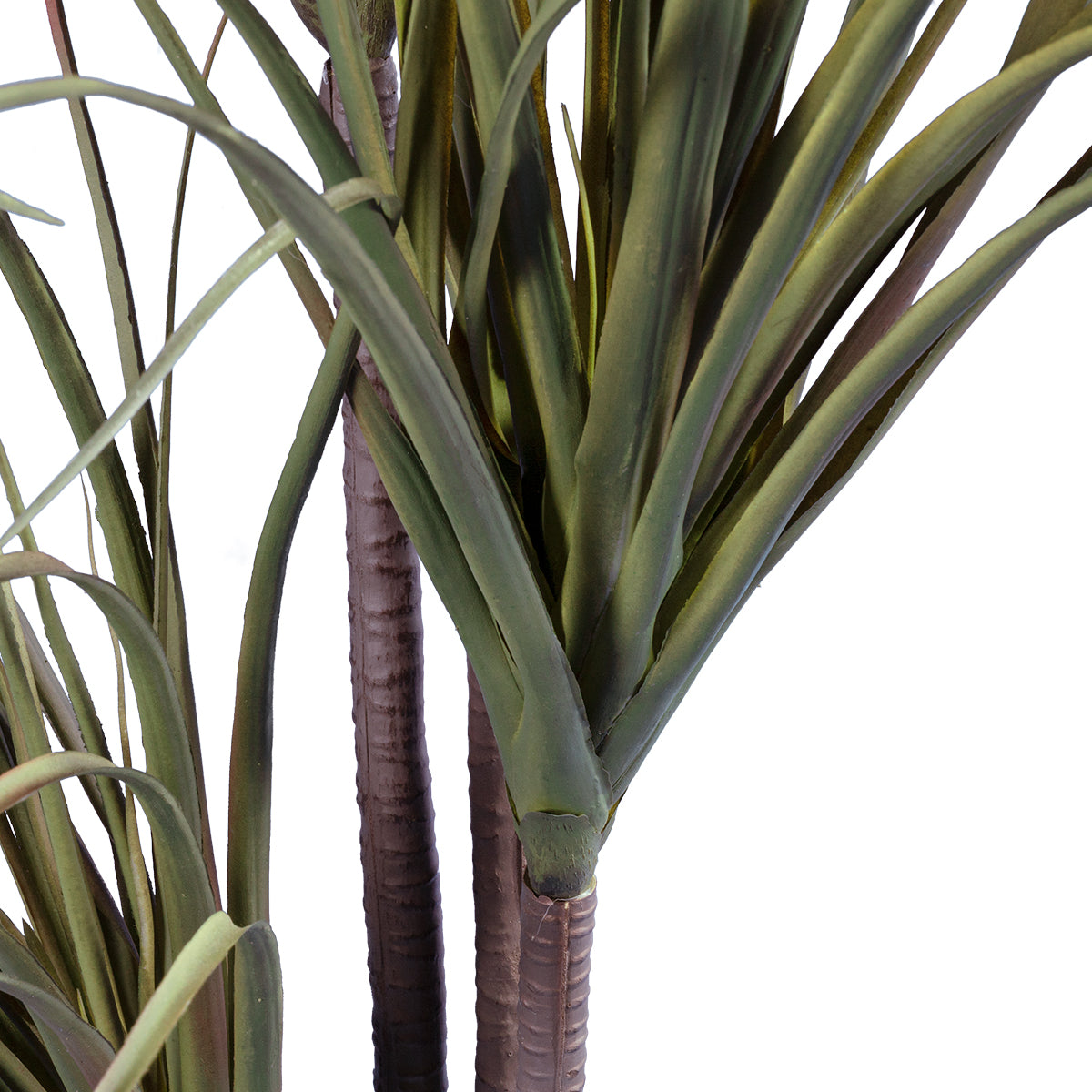 GloboStar® Artificial Garden DRAGON BLOOD TREE 20015 Τεχνητό Διακοσμητικό Φυτό Δράκαινα Υ150cm - ledmania.gr