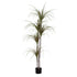 GloboStar® Artificial Garden DRAGON BLOOD TREE 20016 Τεχνητό Διακοσμητικό Φυτό Δράκαινα Υ180cm - ledmania.gr