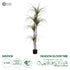 GloboStar® Artificial Garden DRAGON BLOOD TREE 20016 Τεχνητό Διακοσμητικό Φυτό Δράκαινα Υ180cm - ledmania.gr