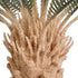 GloboStar® Artificial Garden CYCADS 20022 Τεχνητό Διακοσμητικό Φυτό Αρωματική Κύκας Υ120cm - ledmania.gr