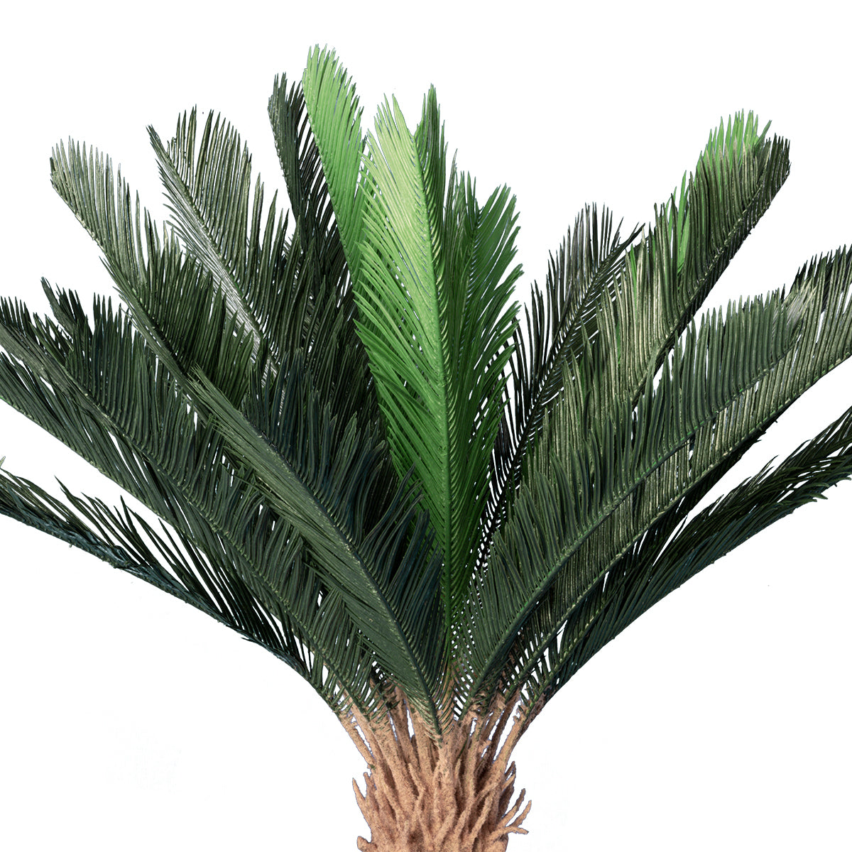 GloboStar® Artificial Garden CYCADS 20023 Τεχνητό Διακοσμητικό Φυτό Αρωματική Κύκας Υ140cm - ledmania.gr
