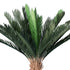 GloboStar® Artificial Garden CYCADS 20023 Τεχνητό Διακοσμητικό Φυτό Αρωματική Κύκας Υ140cm - ledmania.gr