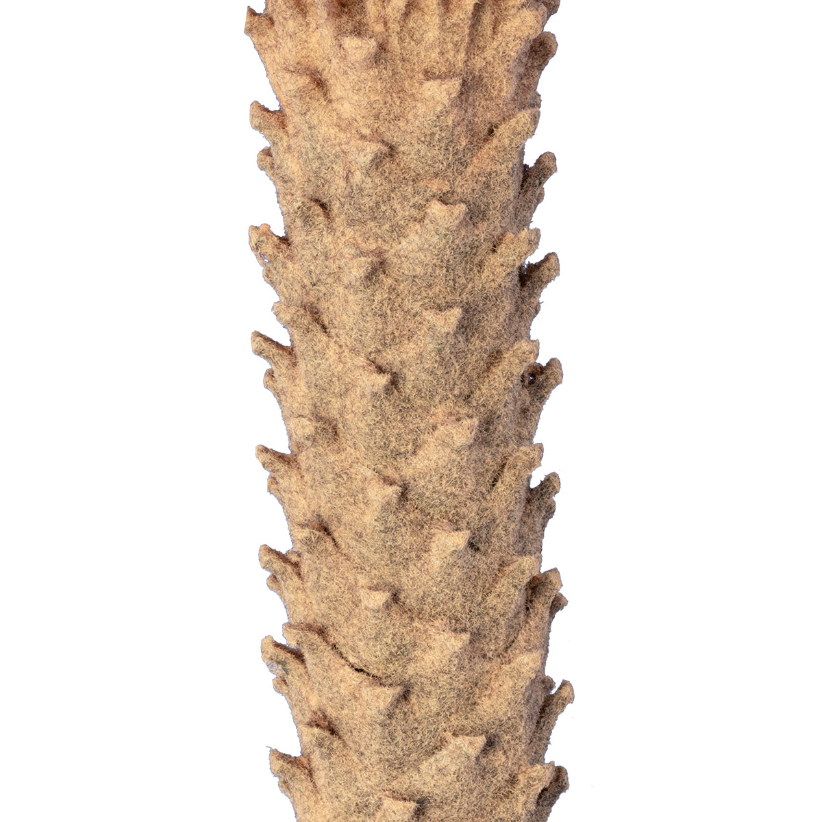 GloboStar® Artificial Garden CYCADS 20023 Τεχνητό Διακοσμητικό Φυτό Αρωματική Κύκας Υ140cm - ledmania.gr