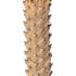 GloboStar® Artificial Garden CYCADS 20023 Τεχνητό Διακοσμητικό Φυτό Αρωματική Κύκας Υ140cm - ledmania.gr