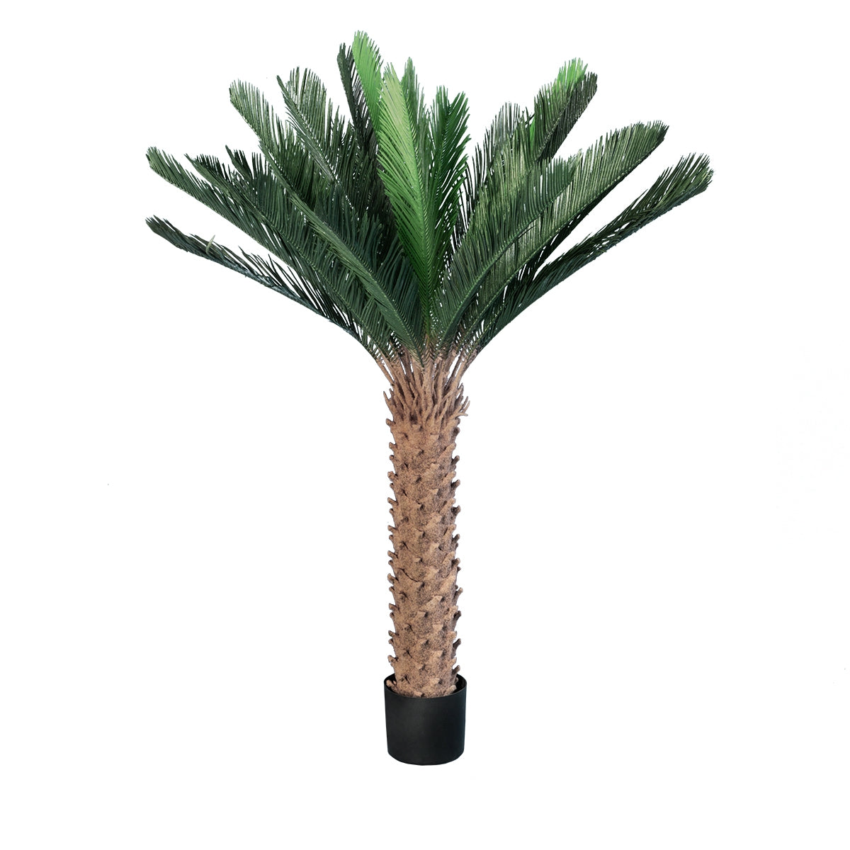 GloboStar® Artificial Garden CYCADS 20023 Τεχνητό Διακοσμητικό Φυτό Αρωματική Κύκας Υ140cm - ledmania.gr