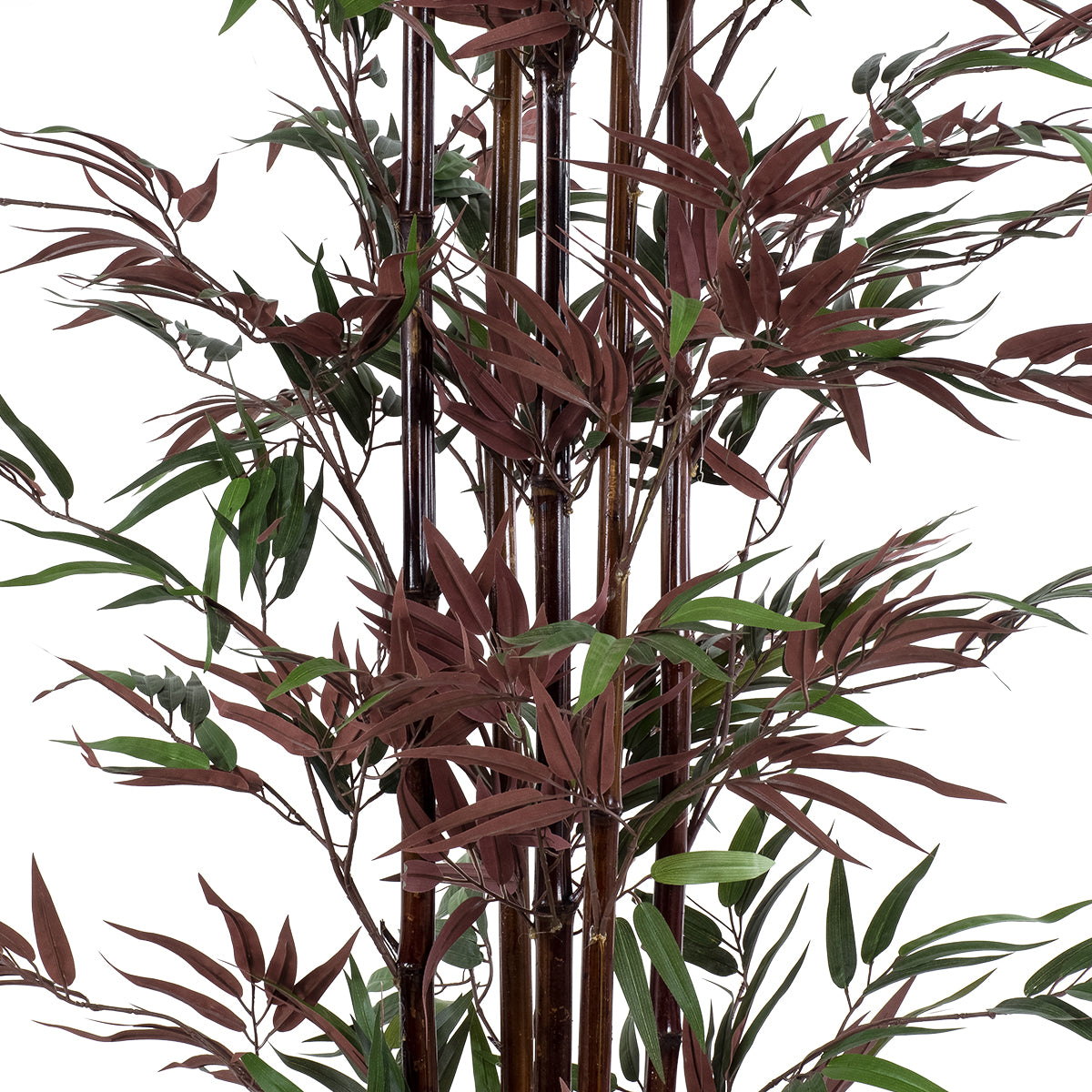 GloboStar® Artificial Garden BLOODLEAF BAMBOO 20039 Τεχνητό Διακοσμητικό Φυτό Αιματόφυλλο Μπαμπού Υ170cm - ledmania.gr