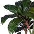 GloboStar® Artificial Garden MELANY FICUS 20041 Τεχνητό Διακοσμητικό Φυτό Φίκος Υ170cm - ledmania.gr