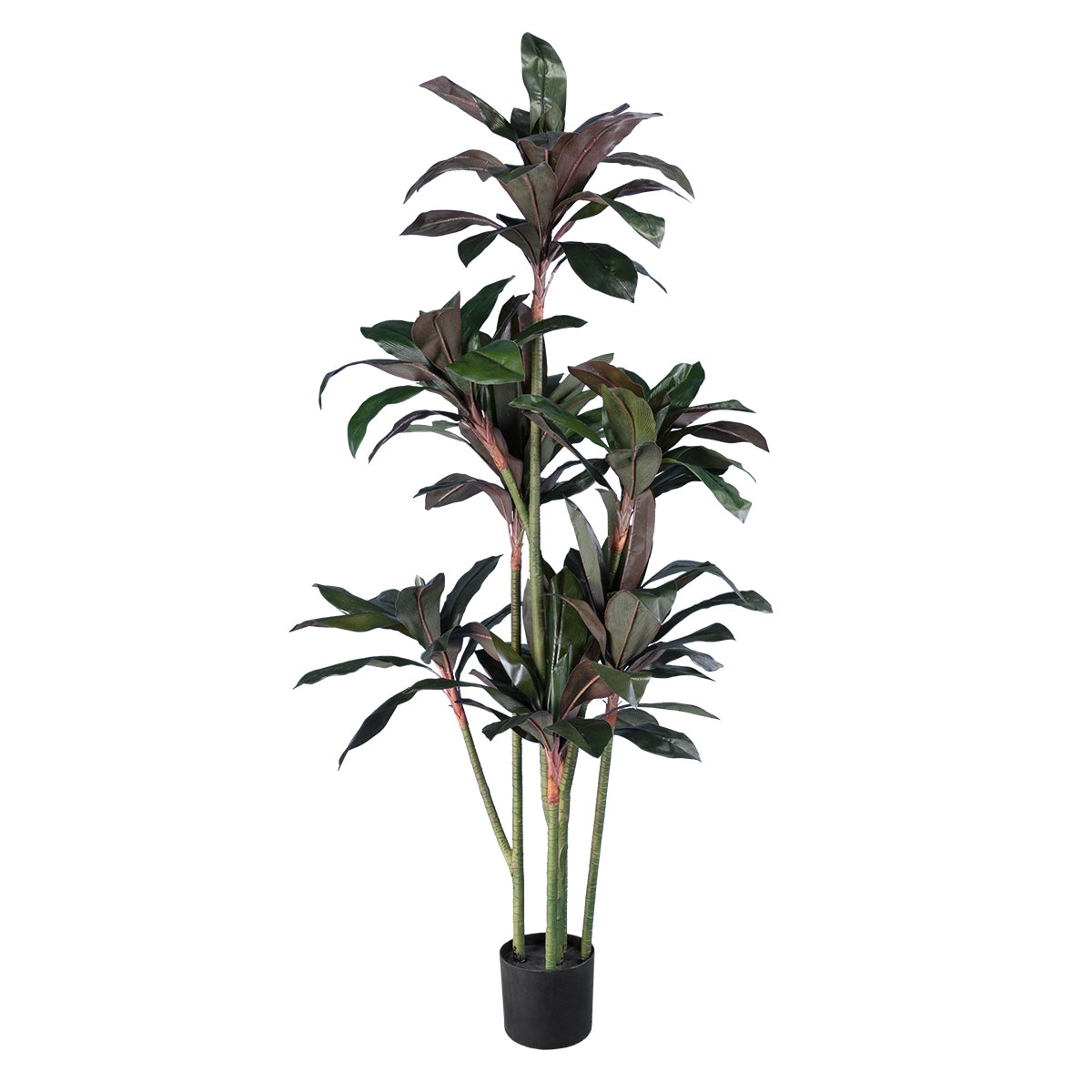 GloboStar® Artificial Garden MELANY FICUS 20041 Τεχνητό Διακοσμητικό Φυτό Φίκος Υ170cm - ledmania.gr