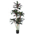 GloboStar® Artificial Garden MELANY FICUS 20041 Τεχνητό Διακοσμητικό Φυτό Φίκος Υ170cm - ledmania.gr