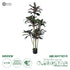 GloboStar® Artificial Garden MELANY FICUS 20041 Τεχνητό Διακοσμητικό Φυτό Φίκος Υ170cm - ledmania.gr