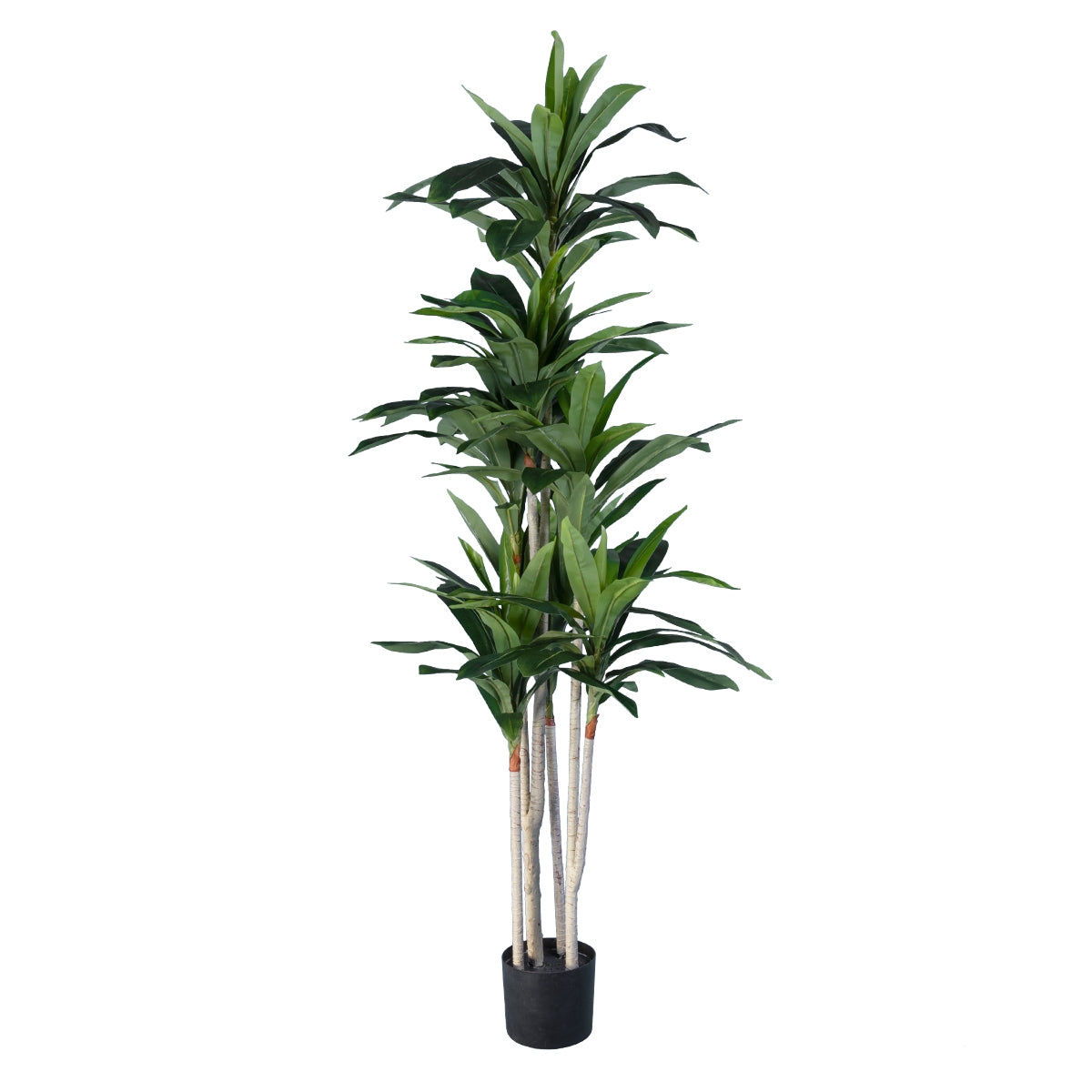 GloboStar® Artificial Garden DRACAENA SILK 20044 Τεχνητό Διακοσμητικό Φυτό Δράκαινα Υ170cm - ledmania.gr