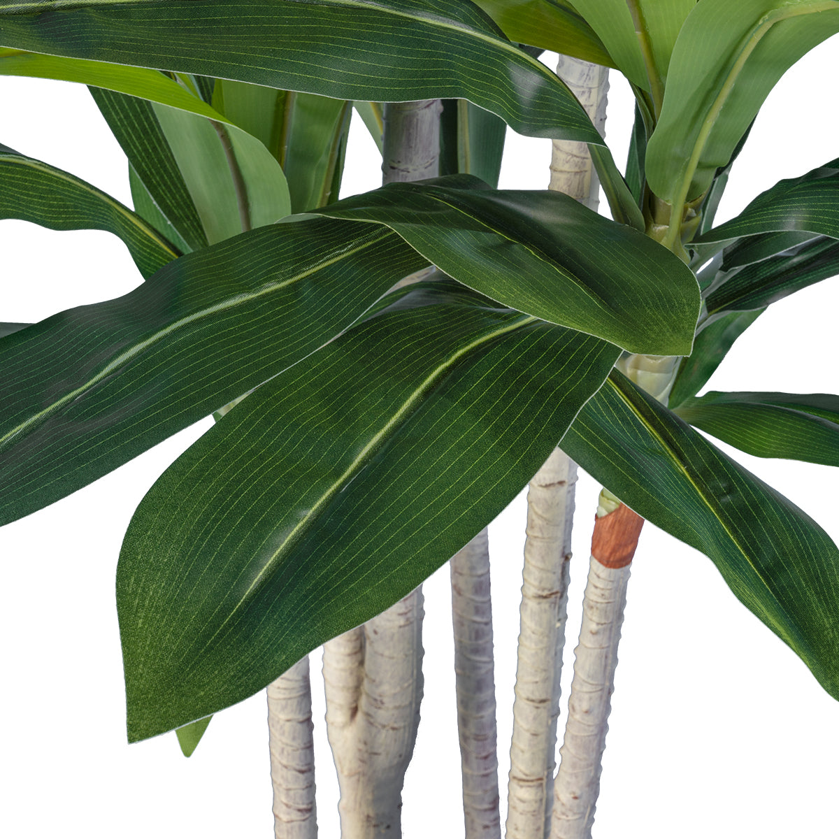 GloboStar® Artificial Garden DRACAENA SILK 20044 Τεχνητό Διακοσμητικό Φυτό Δράκαινα Υ170cm - ledmania.gr