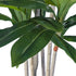 GloboStar® Artificial Garden DRACAENA SILK 20044 Τεχνητό Διακοσμητικό Φυτό Δράκαινα Υ170cm - ledmania.gr