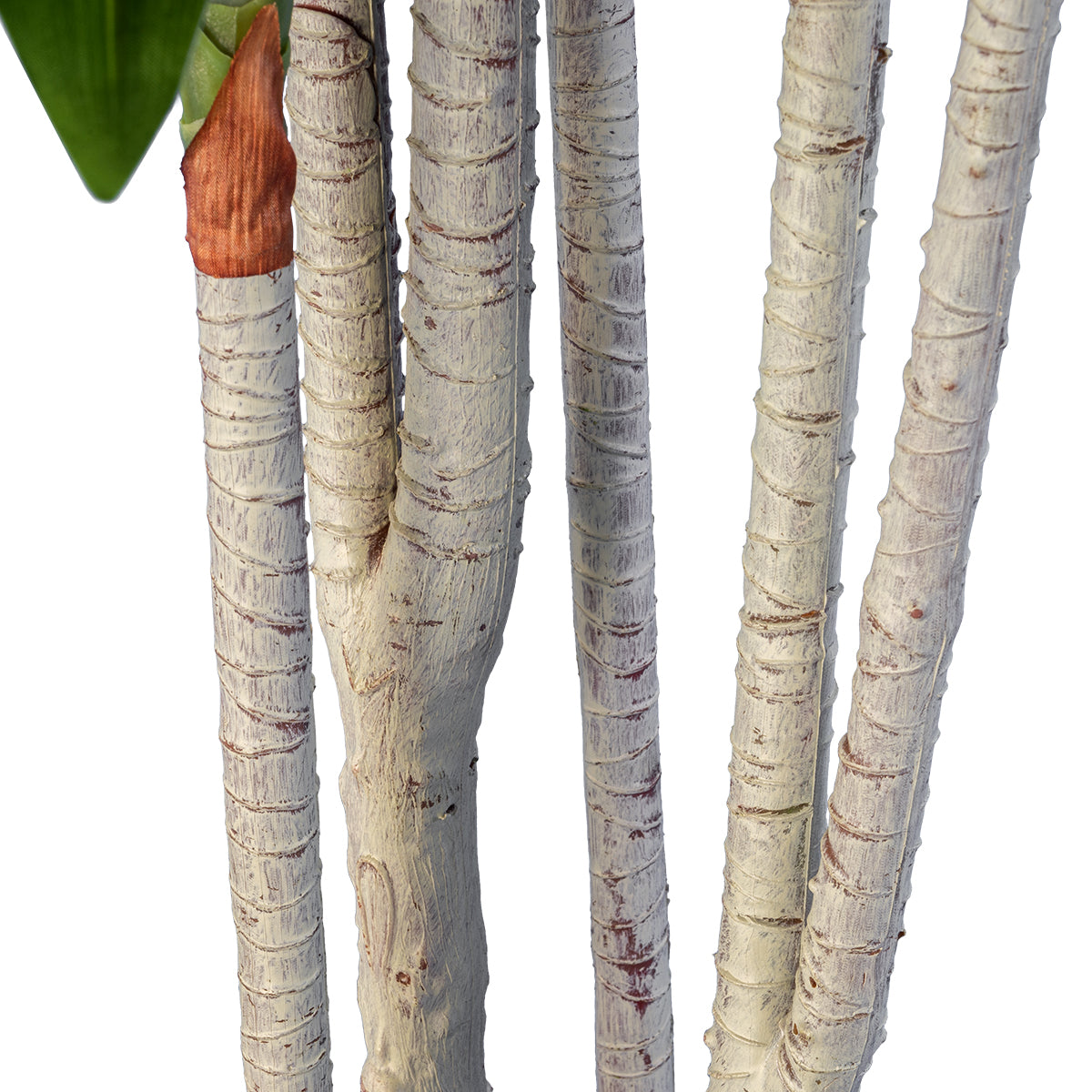 GloboStar® Artificial Garden DRACAENA SILK 20044 Τεχνητό Διακοσμητικό Φυτό Δράκαινα Υ170cm - ledmania.gr