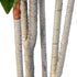 GloboStar® Artificial Garden DRACAENA SILK 20044 Τεχνητό Διακοσμητικό Φυτό Δράκαινα Υ170cm - ledmania.gr