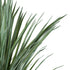 GloboStar® Artificial Garden BEAUCARNEA PALM TREE 20046 Τεχνητό Διακοσμητικό Φυτό Κυρτόφυλλος Μπουκαρνέα Υ165cm - ledmania.gr