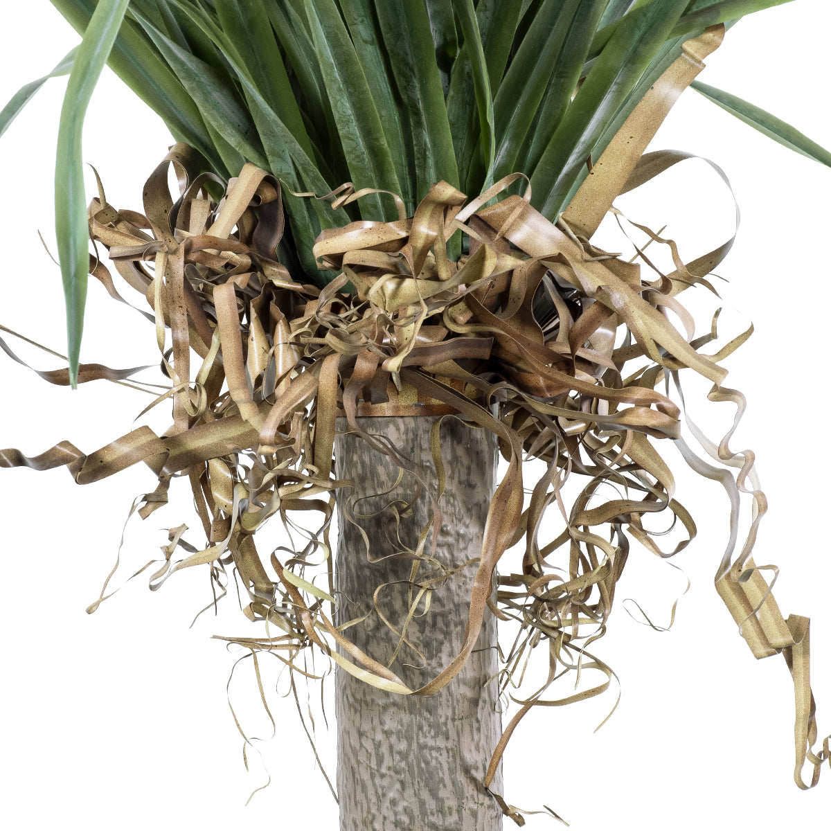 GloboStar® Artificial Garden BEAUCARNEA PALM TREE 20046 Τεχνητό Διακοσμητικό Φυτό Κυρτόφυλλος Μπουκαρνέα Υ165cm - ledmania.gr