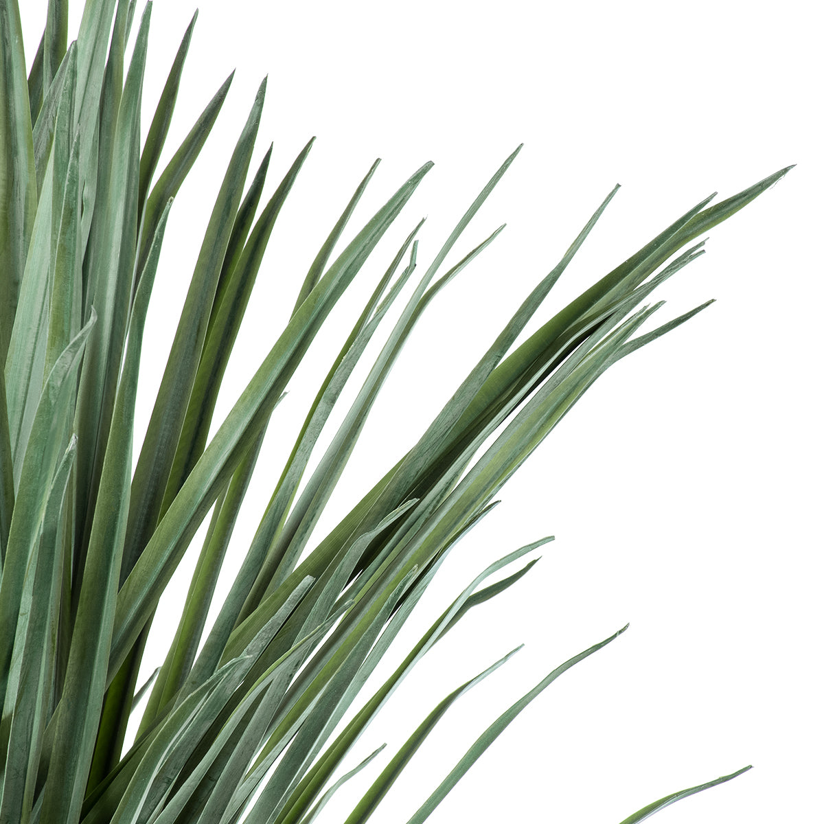 GloboStar® Artificial Garden BEAUCARNEA PALM TREE 20047 Τεχνητό Διακοσμητικό Φυτό Κυρτόφυλλος Μπουκαρνέα Υ200cm - ledmania.gr