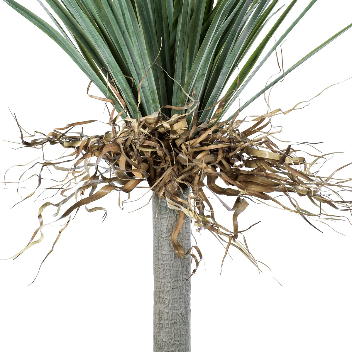 GloboStar® Artificial Garden BEAUCARNEA PALM TREE 20047 Τεχνητό Διακοσμητικό Φυτό Κυρτόφυλλος Μπουκαρνέα Υ200cm - ledmania.gr