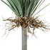GloboStar® Artificial Garden BEAUCARNEA PALM TREE 20047 Τεχνητό Διακοσμητικό Φυτό Κυρτόφυλλος Μπουκαρνέα Υ200cm - ledmania.gr