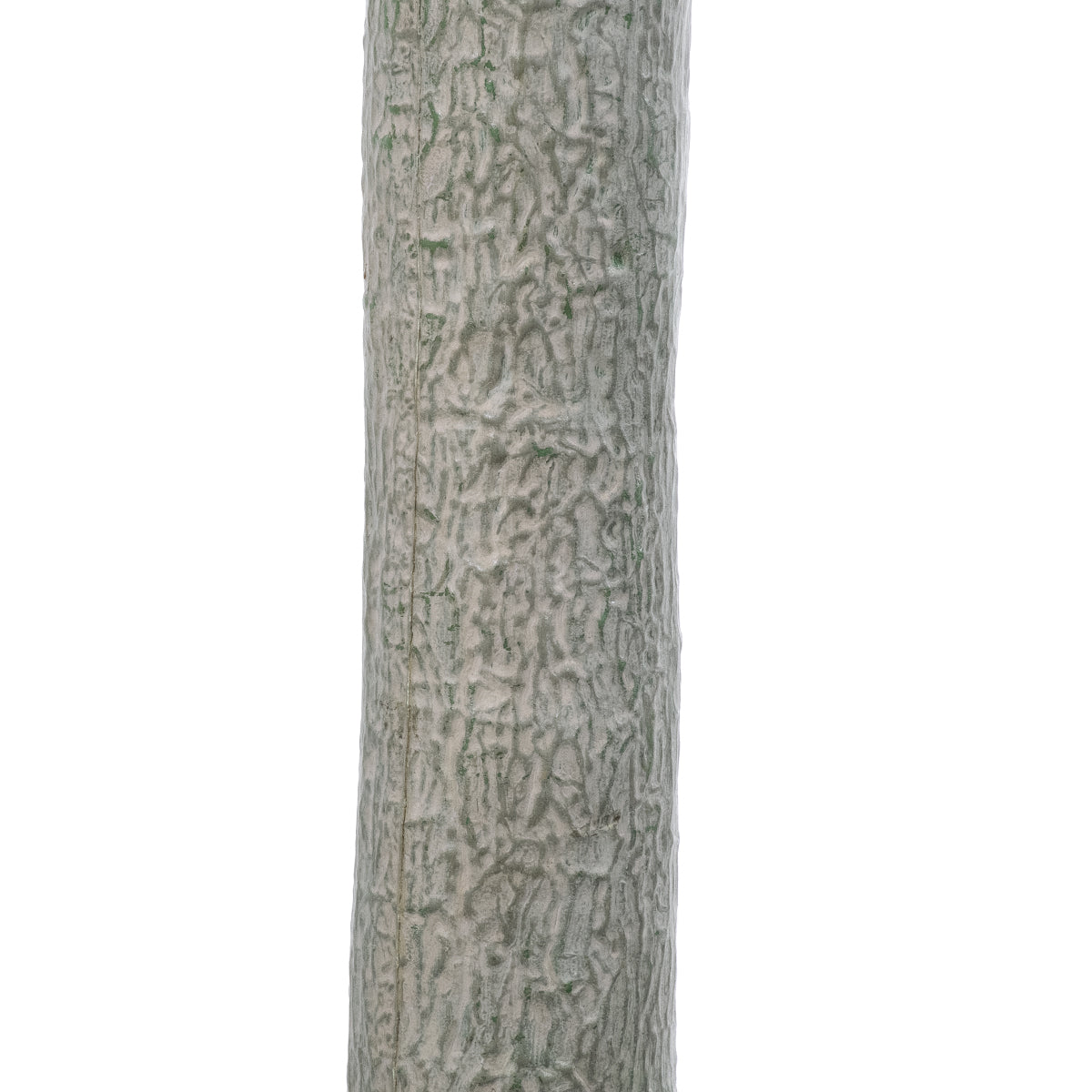 GloboStar® Artificial Garden BEAUCARNEA PALM TREE 20047 Τεχνητό Διακοσμητικό Φυτό Κυρτόφυλλος Μπουκαρνέα Υ200cm - ledmania.gr