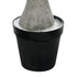 GloboStar® Artificial Garden BEAUCARNEA PALM TREE 20047 Τεχνητό Διακοσμητικό Φυτό Κυρτόφυλλος Μπουκαρνέα Υ200cm - ledmania.gr