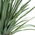 GloboStar® Artificial Garden BEAUCARNEA PALM TREE 20048 Τεχνητό Διακοσμητικό Φυτό Κυρτόφυλλος Μπουκαρνέα Υ250cm - ledmania.gr