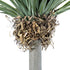 GloboStar® Artificial Garden BEAUCARNEA PALM TREE 20048 Τεχνητό Διακοσμητικό Φυτό Κυρτόφυλλος Μπουκαρνέα Υ250cm - ledmania.gr