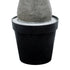 GloboStar® Artificial Garden BEAUCARNEA PALM TREE 20048 Τεχνητό Διακοσμητικό Φυτό Κυρτόφυλλος Μπουκαρνέα Υ250cm - ledmania.gr
