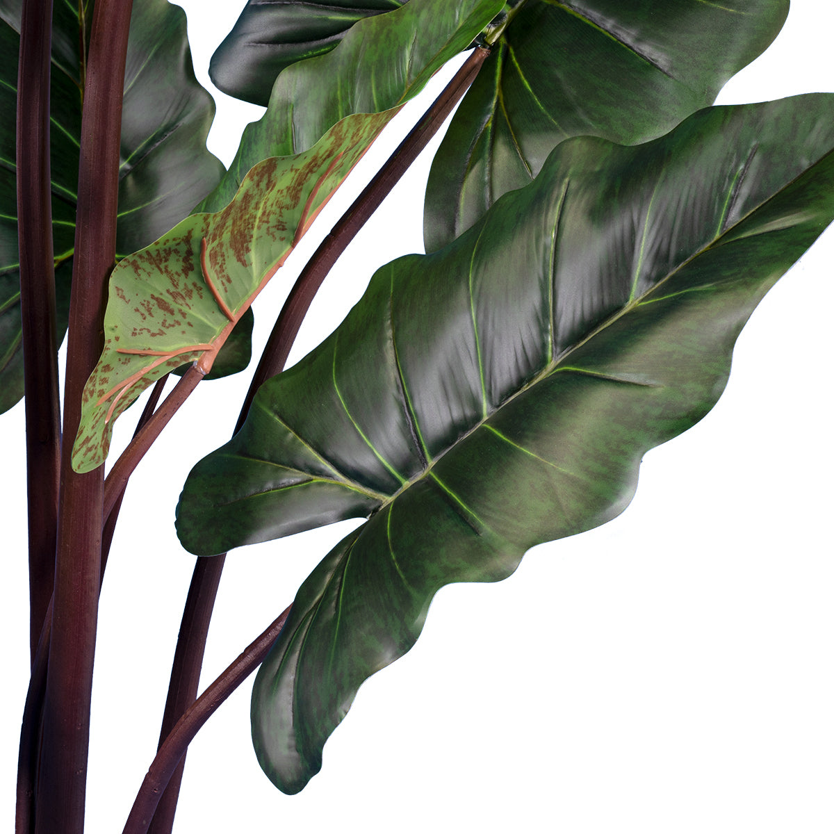 GloboStar® Artificial Garden RAINBOW TARO 20055 Τεχνητό Διακοσμητικό Φυτό Κολοκασία Υ140cm - ledmania.gr