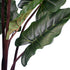 GloboStar® Artificial Garden RAINBOW TARO 20055 Τεχνητό Διακοσμητικό Φυτό Κολοκασία Υ140cm - ledmania.gr