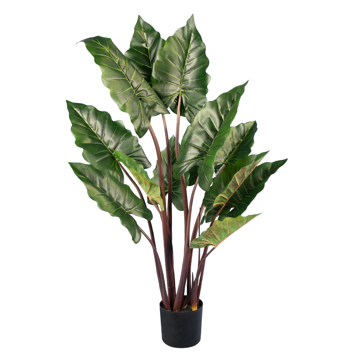 GloboStar® Artificial Garden RAINBOW TARO 20055 Τεχνητό Διακοσμητικό Φυτό Κολοκασία Υ140cm - ledmania.gr