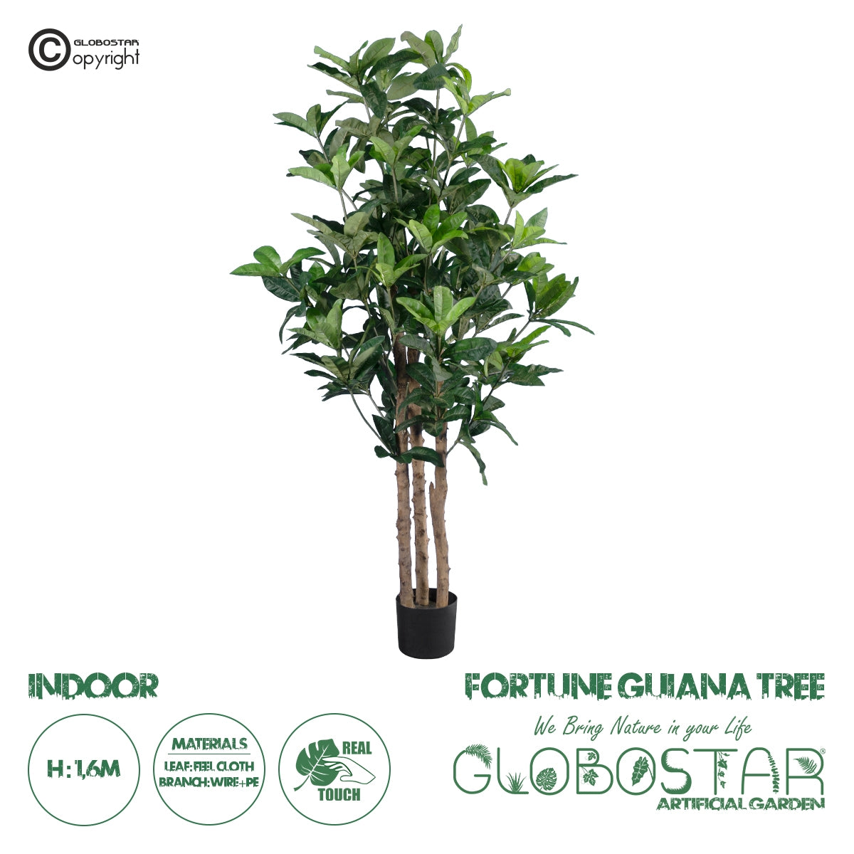 GloboStar® Artificial Garden FORTUNE GUIANA TREE 20056 Τεχνητό Διακοσμητικό Φυτό Καστανιά του Μαλαμπάρ Υ160cm - ledmania.gr