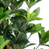GloboStar® Artificial Garden FORTUNE GUIANA TREE 20056 Τεχνητό Διακοσμητικό Φυτό Καστανιά του Μαλαμπάρ Υ160cm - ledmania.gr