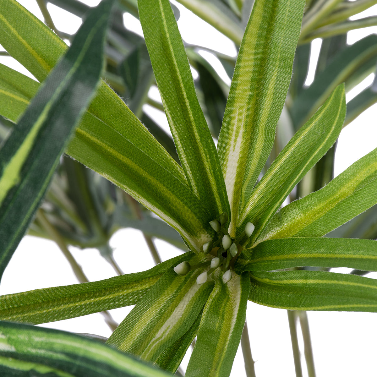 GloboStar® Artificial Garden BROADLEAF LADY PALM 20059 Τεχνητό Διακοσμητικό Φυτό Πλατύφυλλος Φοίνικας Μπαμπού Υ50cm - ledmania.gr